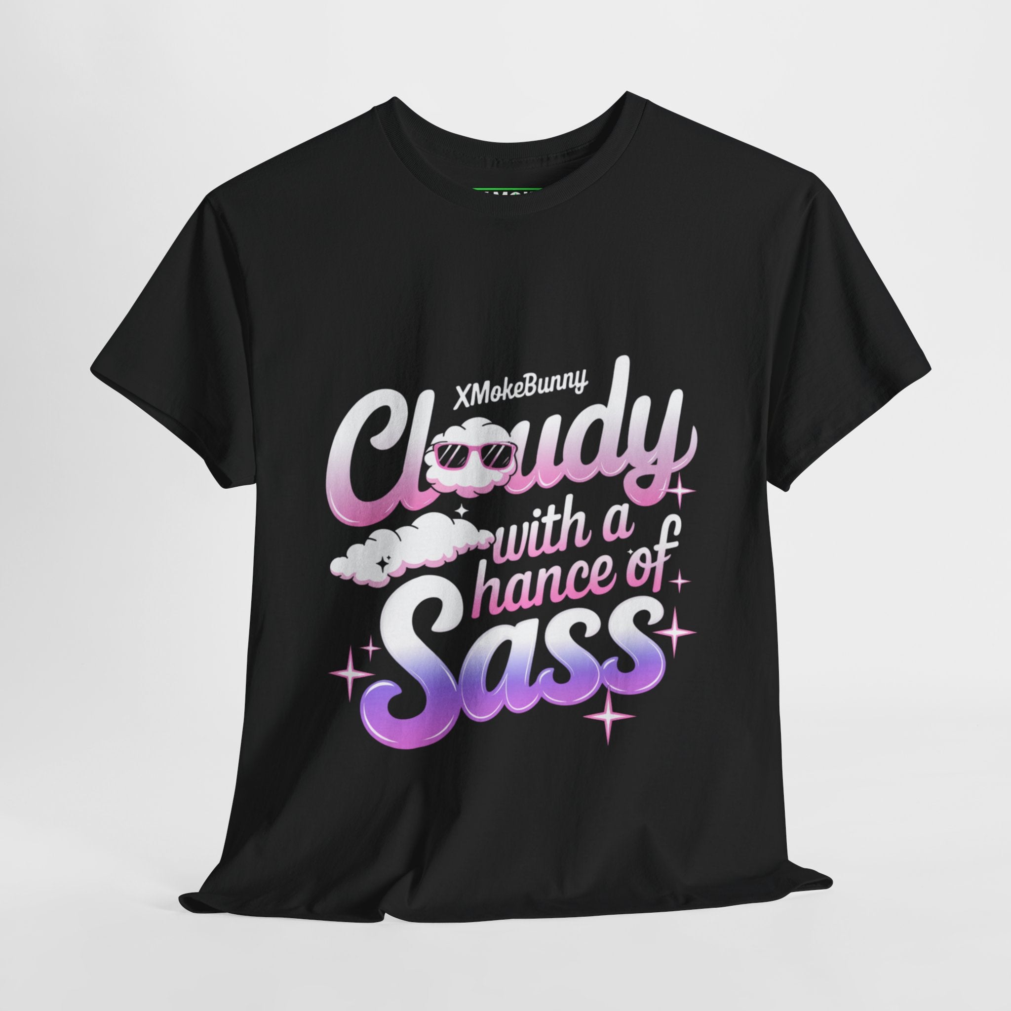 Cloudy With A Chance Of Sass- Casual Graphic T-Shirt for Adventurers